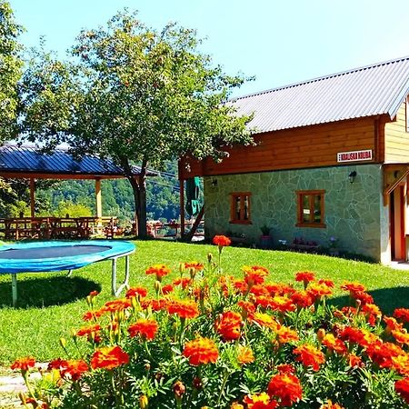 Kraljska koliba - Kralje's Cottage Andrijevica Exteriör bild
