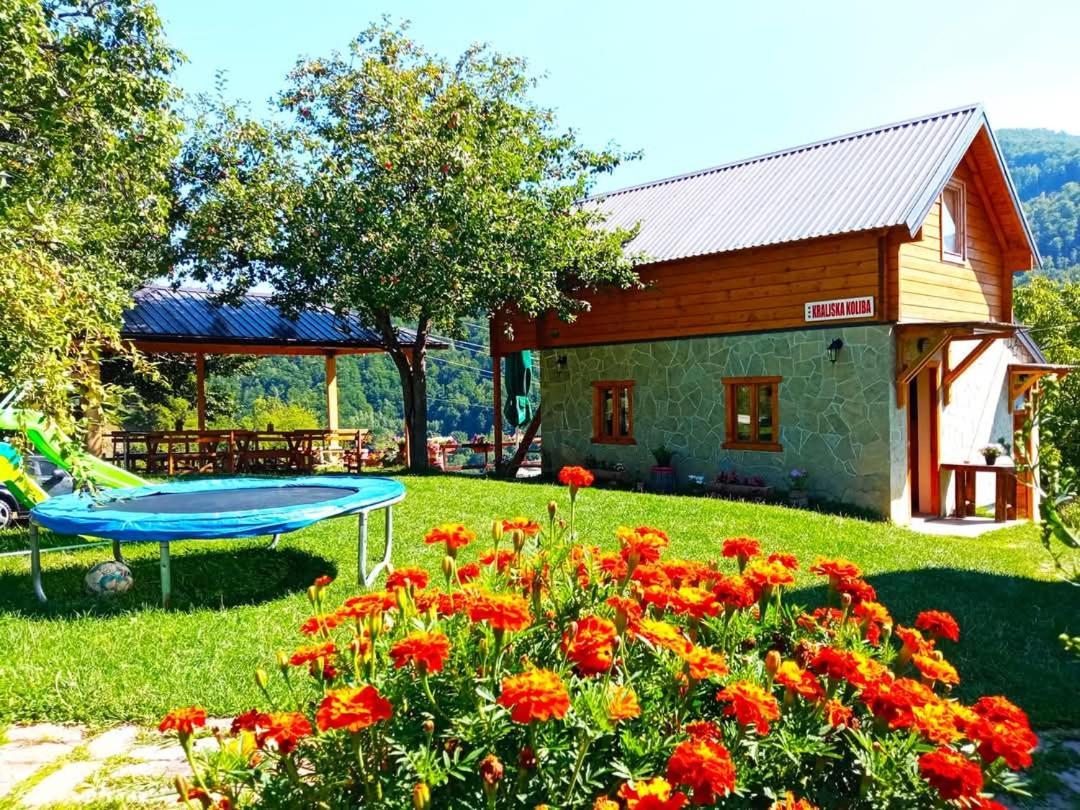 Kraljska koliba - Kralje's Cottage Andrijevica Exteriör bild