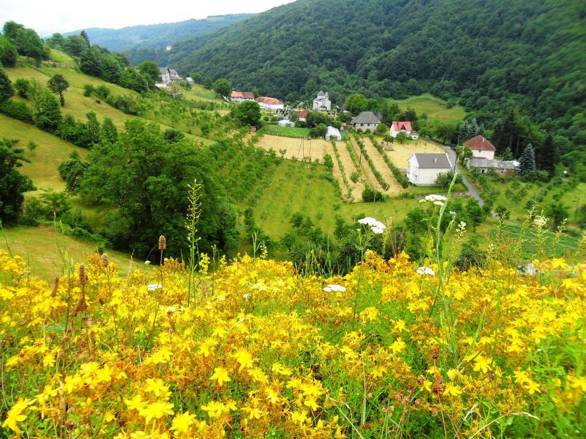 Kraljska koliba - Kralje's Cottage Andrijevica Exteriör bild