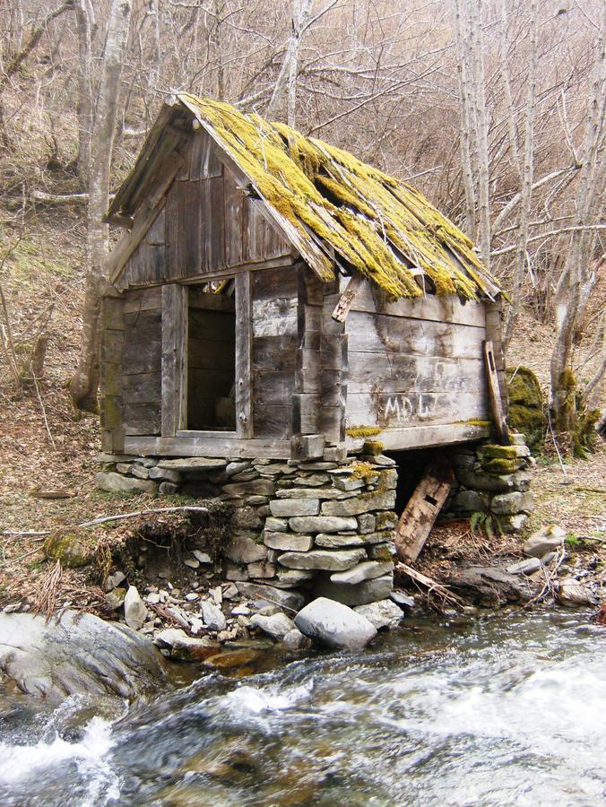 Kraljska koliba - Kralje's Cottage Andrijevica Exteriör bild